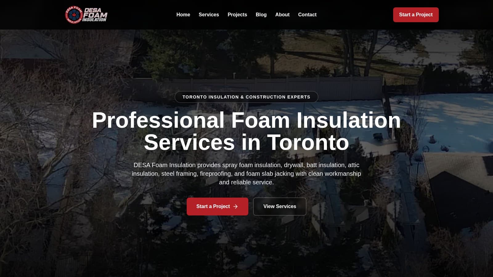 DESA Foam Insulation homepage screenshot
